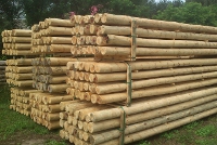 wooden posts